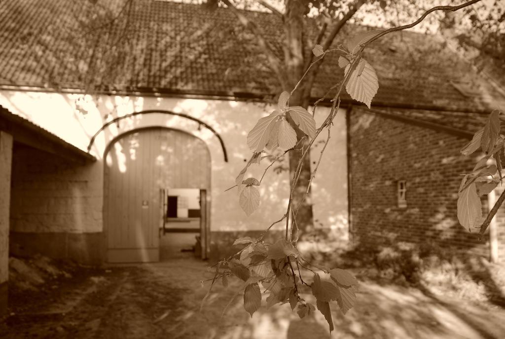 B&B De Oude Winning Riemst Exterior foto